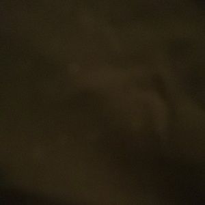 Meet your Posher, Colleen